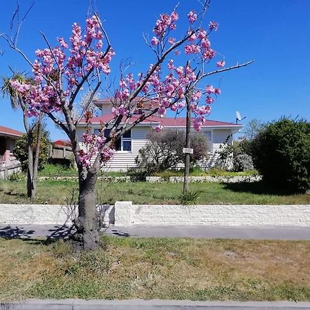 Homestay Double Room, Near The City Center Christchurch Eksteriør billede